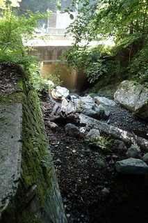 s-P7156234横沢から見る