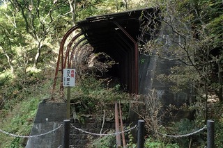 P8232589-s
