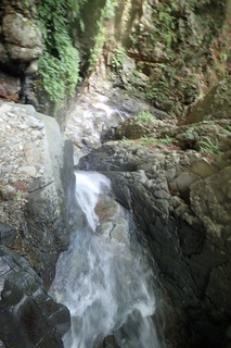 s-P8020129F7_7m滝・俯瞰2