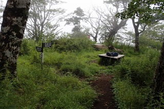 s-P8020209大室山山頂南西の肩
