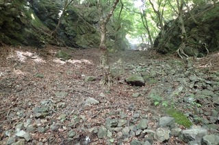 P7166603詰め-s