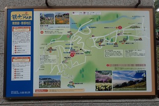 s-P8020262青根の観光マップ