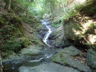 s-P7156239_10×15mナメ