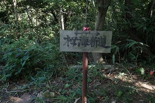 P8232570-s