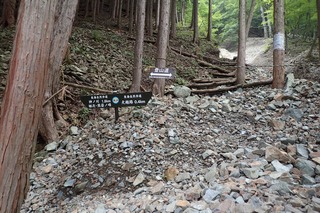 s-P8020238崩落地