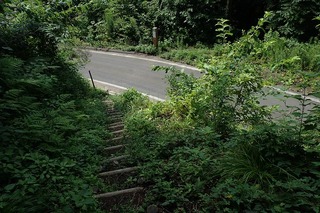 P8232573-s