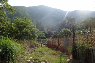 P7166612廃屋-s