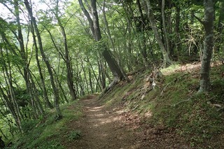 P7166605登山道-s