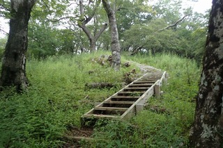 s-P8020198大室山方向は階段