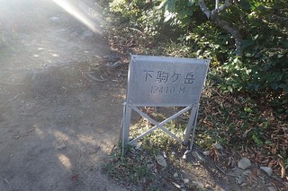 P8232518-s