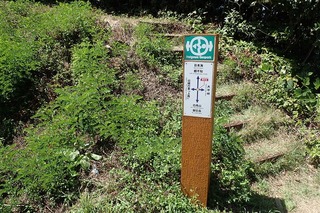 P8232558-s