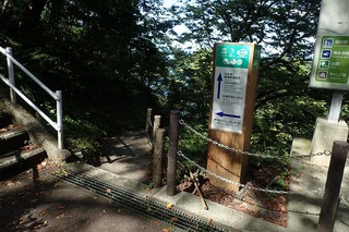 P8232585-s