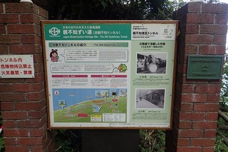 P8232590-s