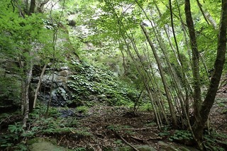 P7166509白龍の滝左岸-s