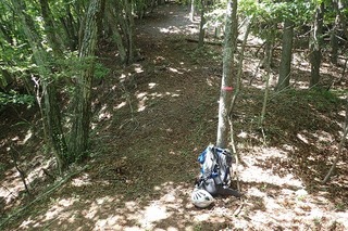 s-P7156410登山道