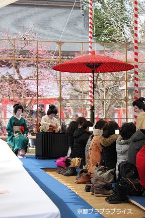 IMG_6452-1