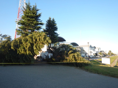 DSCN1783