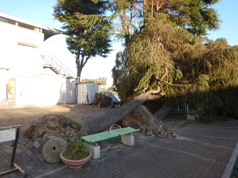 DSCN1781