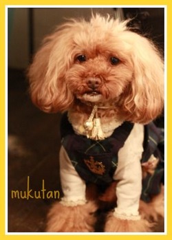 mukutan