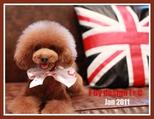 jan2011 designF