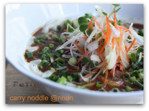 carry noddle