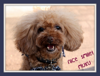 nice smile muku