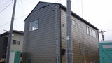 72057495.jpg