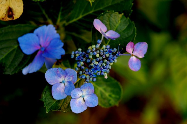 2014_06_26-2
