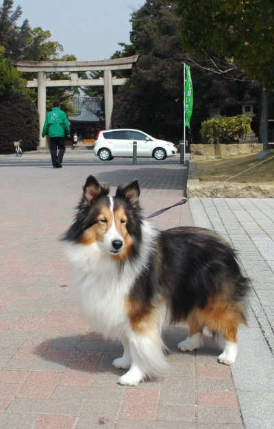 2013_12_13-11