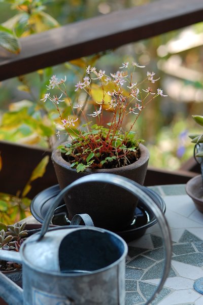 2014_10_27-4