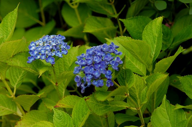 2018_07_03-3