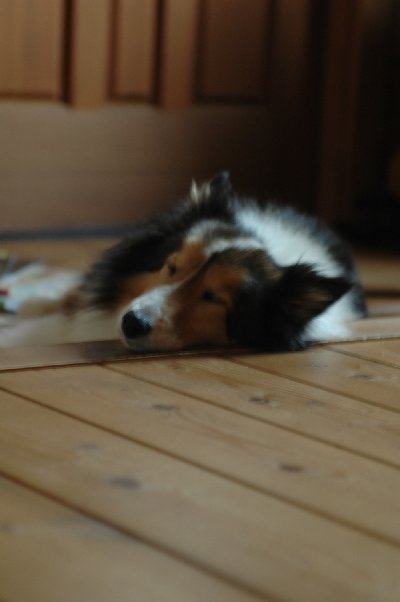 2014_08_31-9