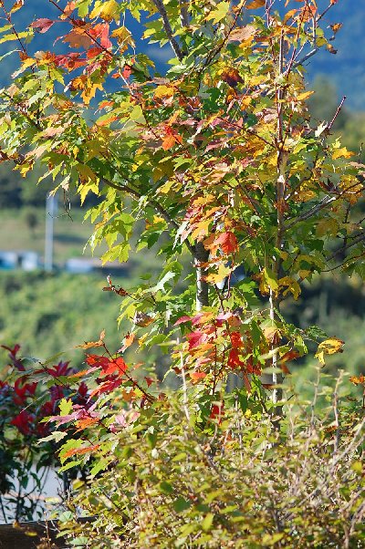 2014_10_29-1