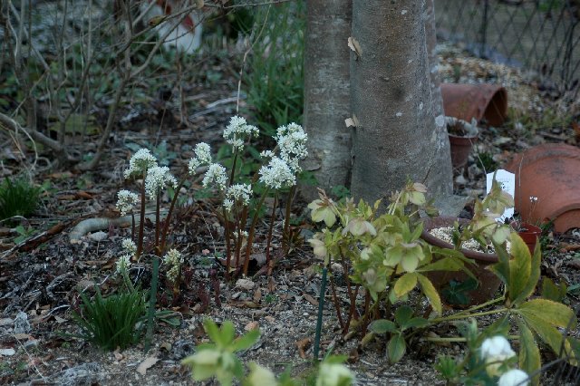 2017_04_10-3