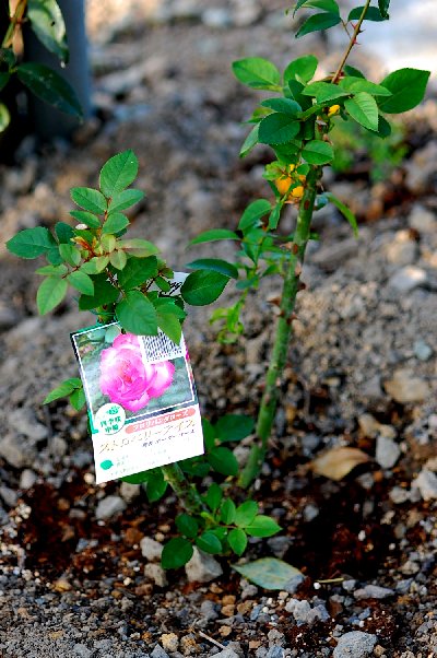 2014_10_29-7