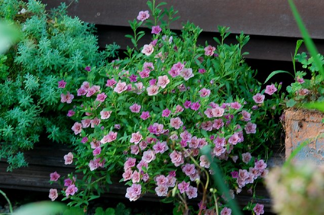 2017_08_02-3