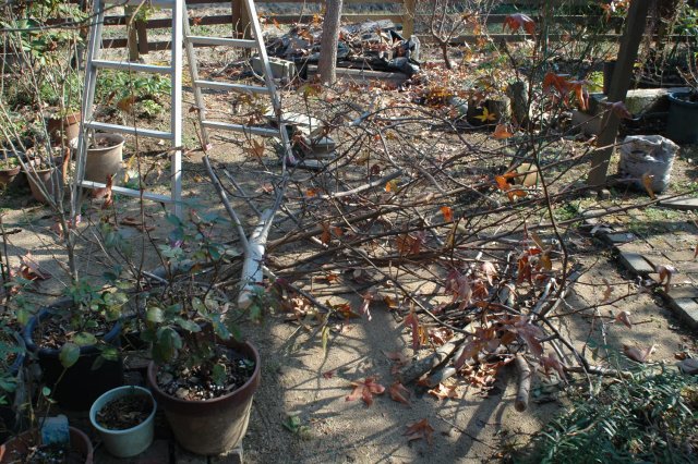 2013_12_10-3