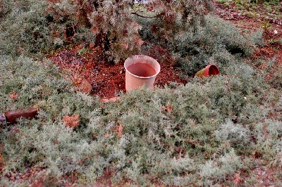 2015_01_31-8