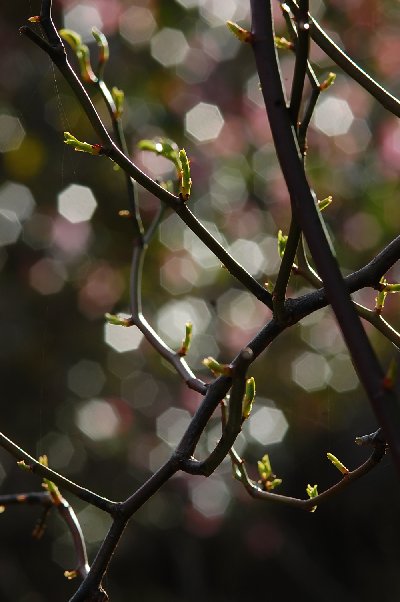 2015_02_28-1