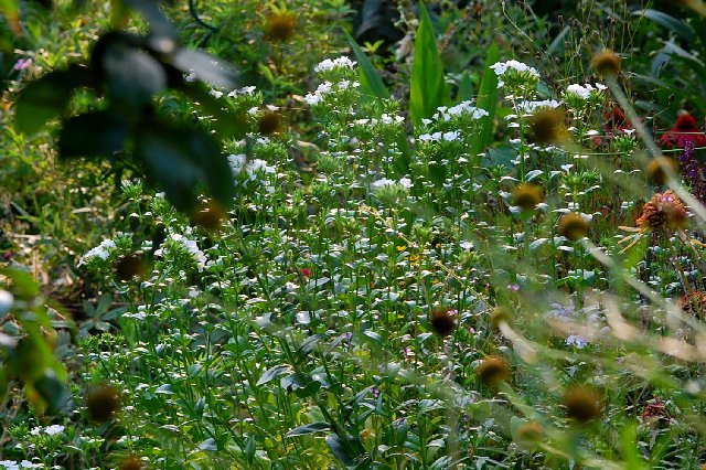 2017_07_07-7