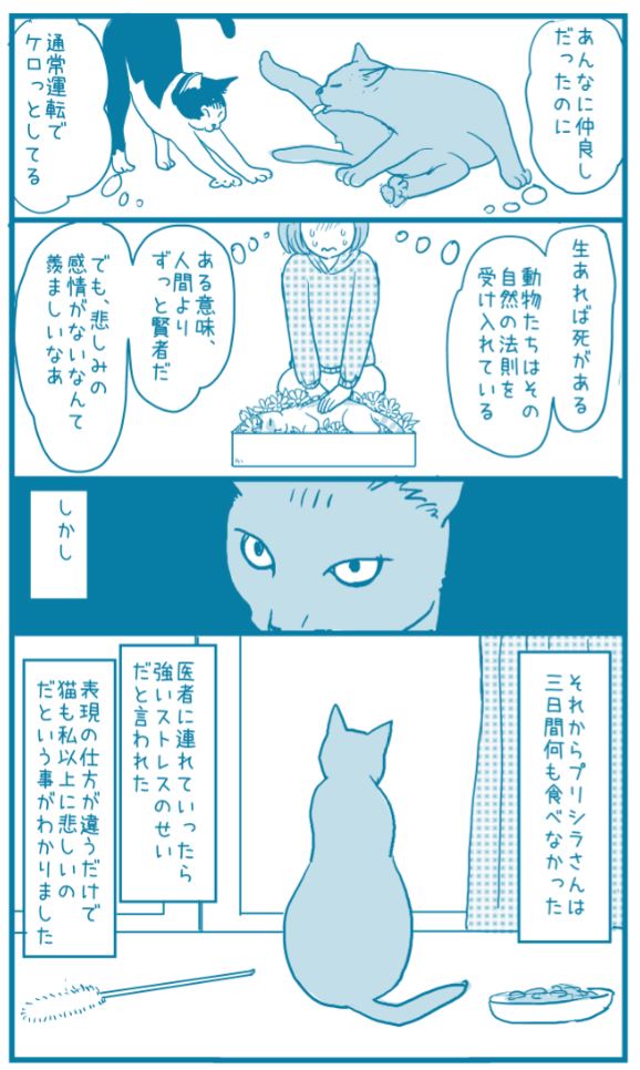 猫は友達の死を悲しむ 猫の感情 を描く漫画に反響 猫よっといで 動物みんなよっといで Come On Catsandanimals