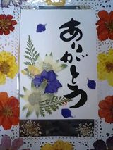 1b79a58a.jpg