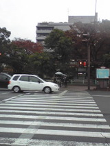 22cde4e9.jpg