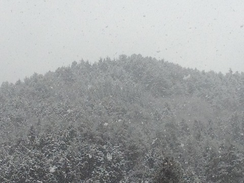 飛騨高山の山も冬化粧