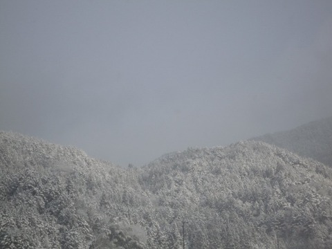 舞台峠観光センターから見た山
