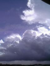 d26df61c.jpg