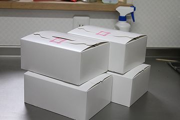 IMG_7793