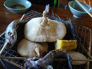 画像 250