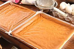 IMG_3379
