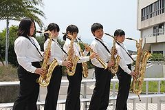 IMG_7377